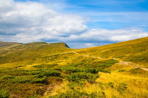 Ukrayna 'daki Karpat Dağları