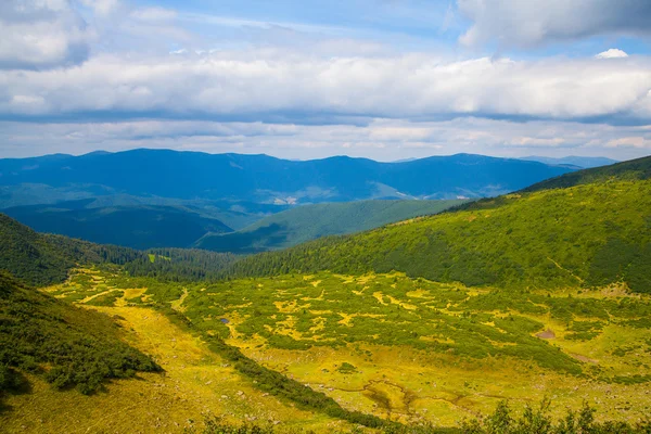 Ukrayna 'daki Karpat Dağları