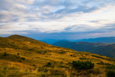 Ukrayna 'daki Karpat Dağları