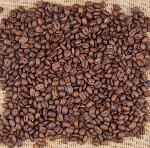 Coffee beans background — Stock Photo, Image