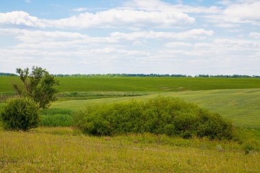 Kırsal manzara fotoğraf