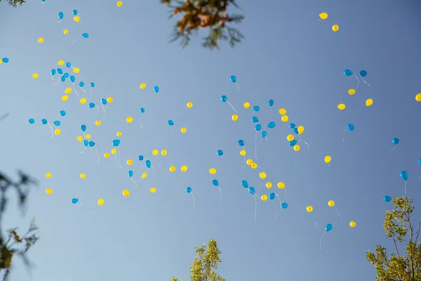 Air balloon background