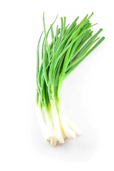 Sekumpulan chives — Stok Foto