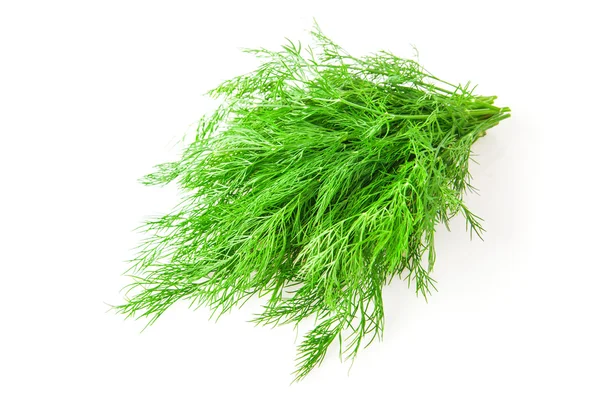 Dill. — Fotografia de Stock