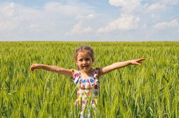Dziewczyna w polu pszenicy — Zdjęcie stockowe