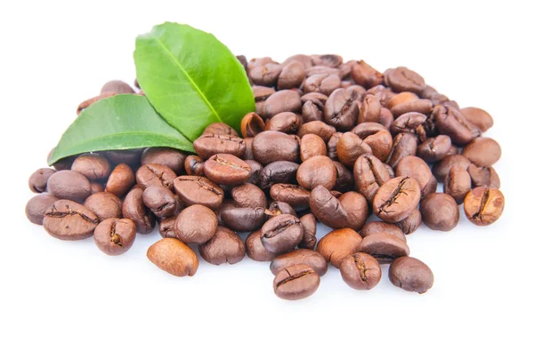 Kaffebönor och gröna blad — Stockfoto