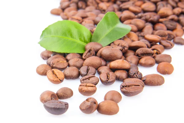 Kávébab és zöld levelek — Stock Fotó