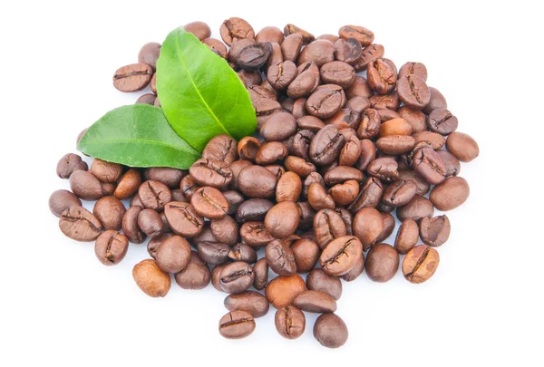 Κόκκοι καφέ και πράσινα φύλλα Εικόνα Αρχείου