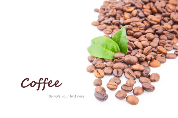 Coffee beans and green leaves — Stock Photo, Image