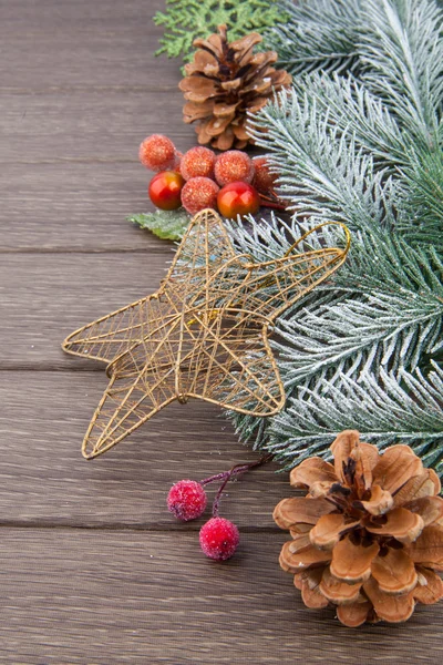 Rama de árbol de abeto de Navidad —  Fotos de Stock