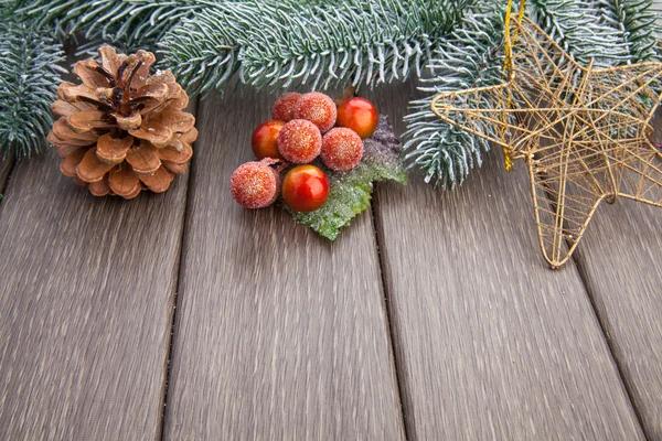 クリスマスのモミの木の枝 — ストック写真