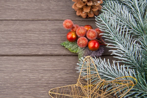 Karácsonyi fenyő fa ága — Stock Fotó