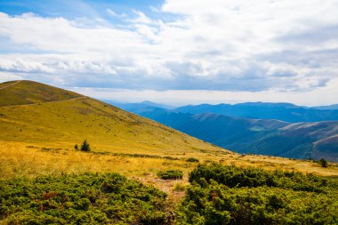 Ukrayna 'daki Karpat Dağları