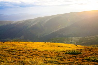Ukrayna 'daki Karpat Dağları