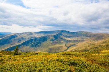 Ukrayna 'daki Karpat Dağları