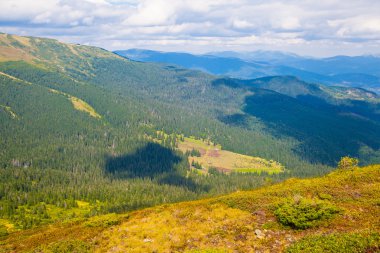 Ukrayna 'daki Karpat Dağları