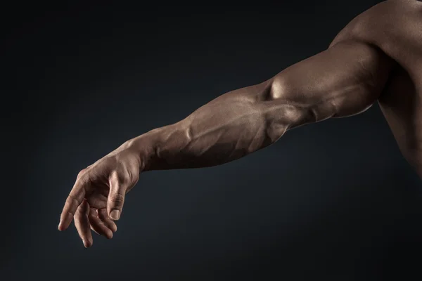 Close-up of athletic muscular arm and torso — Stock Photo, Image