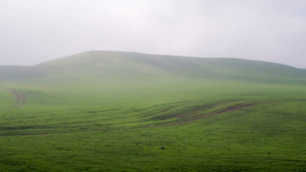 Туманні Green Hills — стокове відео