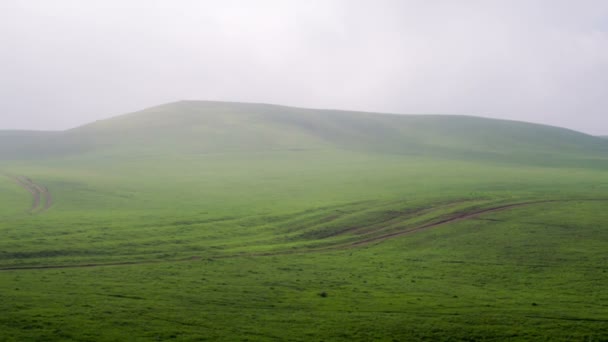 Misty Green Hills — Vídeo de Stock