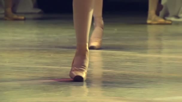 Ballet Troupe Hd — Video Stock