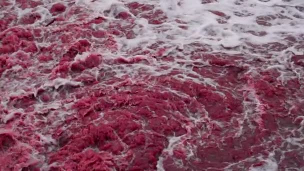 Reservoir Flows Red Water — Stock Video