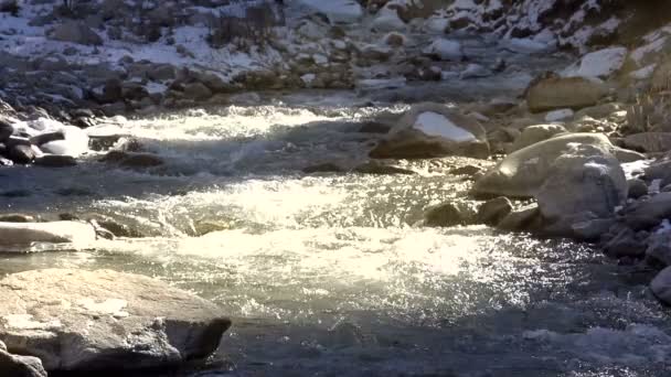 Rivière de montagne au soleil — Video