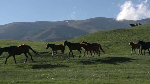 Besättningen ner från bergen — Stockvideo