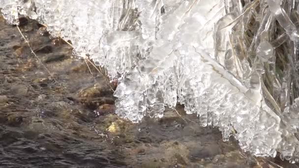 El borde del hielo del río — Vídeo de stock