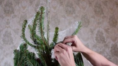 Noel Ağacı 'nı açıyorum. Erkek eller, Noel ağacındaki ağ ambalajını kaldırın. Üç sahne