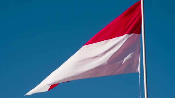 Indonesian Flag Wiggles Wind Big State Flag Illuminated Sun Flutters — Stock Video