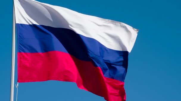 Die Russische Flagge Weht Wind Die Big State Flag Wird — Stockvideo