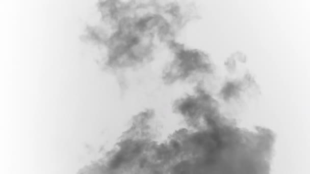 Чёрный Дым Поле Боя Черный Дым Поднимается Большого Горящего Объекта — стоковое видео