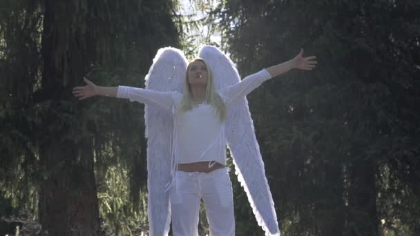 天使与白翼在森林里 一位身穿白衣的年轻漂亮的金发姑娘举手表决 她身后有白色的翅膀 白色的绒毛在空气中飘扬 慢动作速度240 Fps — 图库视频影像
