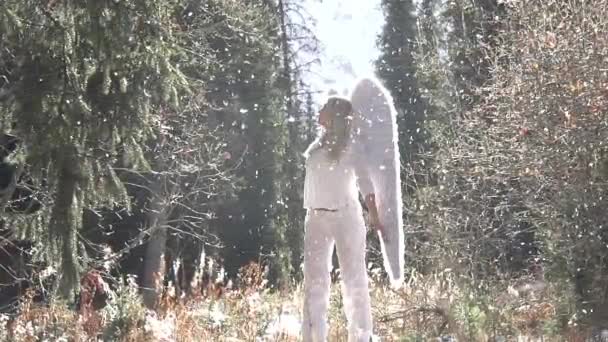 Luz Solar Ilumina Anjo Menina Bonita Nova Banha Luz Solar — Vídeo de Stock