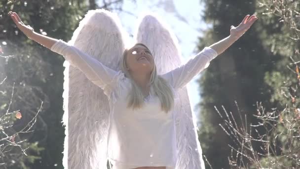 白い翼を持つ祈りの天使 白い服を着た若い美しいブロンドが彼女の手を空に上げる 彼女の後ろに白い翼がある 白い綿毛が空中を飛ぶ 240Fpsの速度でのスローモーション — ストック動画