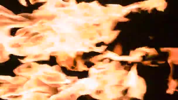 暗闇の中で燃える炎 三つのガスの炎のトーチは 黒い背景の水平方向に激しく打ちます スローモーション240 Fps — ストック動画