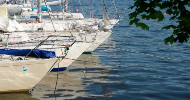 Yachten Vor Anker Weiße Yachten Reihen Sich Aneinander Auf Hellen — Stockvideo