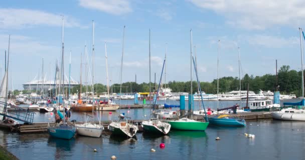 Санкт Петербург Росія Серпня 2019 Очікуванні Падаючого Вітру Екіпажі Вантажать — стокове відео