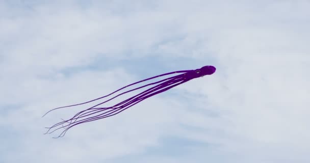 Cerf Volant Dans Pieuvre Pieuvre Violette Avec Longs Tentacules Plane — Video