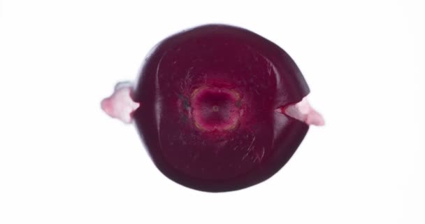 Squeeze Juice Cowberry Cowberry Compressed Crushed Close Bright White Background — Stock Video