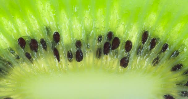 Verpletter Een Lichte Plak Kiwi Kiwi Vruchtenschijfjes Worden Samengeperst Van — Stockvideo