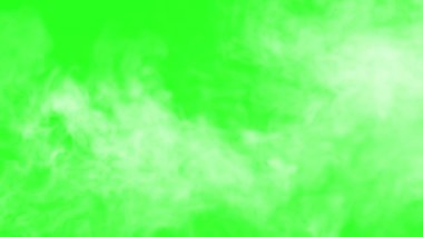 Beyaz Duman Yavaşça Hareket Ediyor. Beyaz yoğun duman alfa kanalının arka planında yavaşça dönüyor ve tüm ekranı dolduruyor. Mükemmel tek renk kromakey RGB (10; 252; 10)