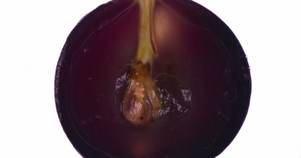 Bursting Black Grapes Halves Whole Black Grapes Squeezed Crushed Close — Stock Video