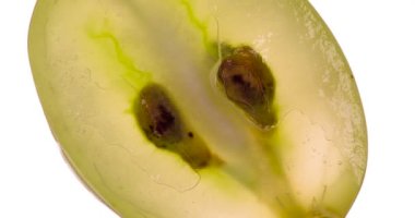 Sulu Yeşil Üzüm 'ün yarısını sık. Beyaz üzümler sıkıştırılır ve parlak beyaz bir arka planda ezilir, sulu bir hamur ve meyve suyu serpintisi oluşturur. 120 fps 'te atış.