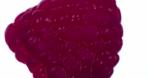 Crushed One Raspberries Raspberries Compressed Crushed Close Bright White Background — Stock Video