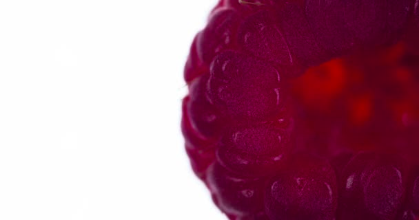 Squeeze Raspberry Pulp Raspberries Compressed Crushed Close Bright White Background — Stock Video