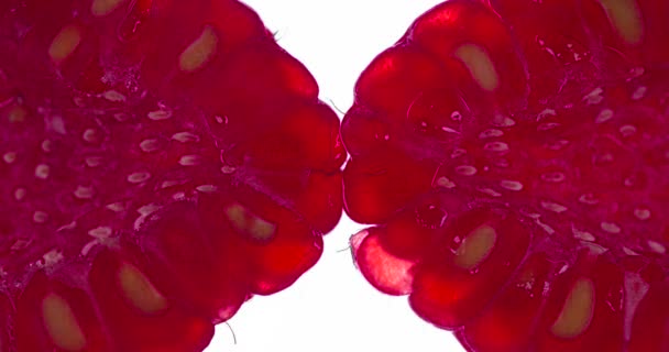 Compressing Two Raspberry Halves Raspberries Compressed Crushed Close Bright White — Stock Video