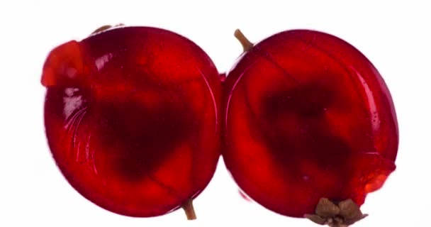 粉碎一对夫妇的红醋栗 芬芳成熟的红醋栗浆果在明亮的白色背景下被挤压压碎 形成多汁的果肉和果壳流 以120Fps的速度射击 — 图库视频影像
