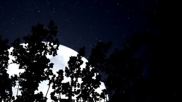 Bosque y una enorme luna azul — Vídeo de stock