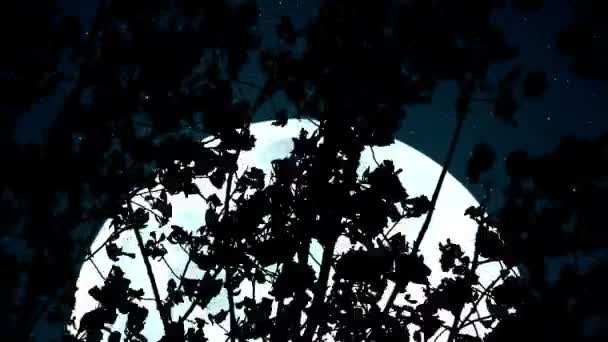 Riesiger blauer Mond in den Zweigen — Stockvideo